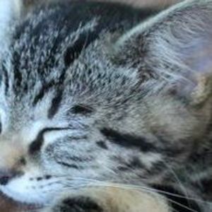 Meet your Posher, Leah